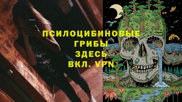стаф Покровск