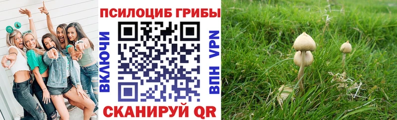 Галлюциногенные грибы Magic Shrooms  Кузнецк 